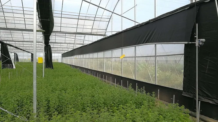 motor electric ventilator.jpg