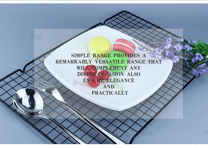 Japanese Restaurant White Teppanyaki Plate Ceramic Plates Dishes