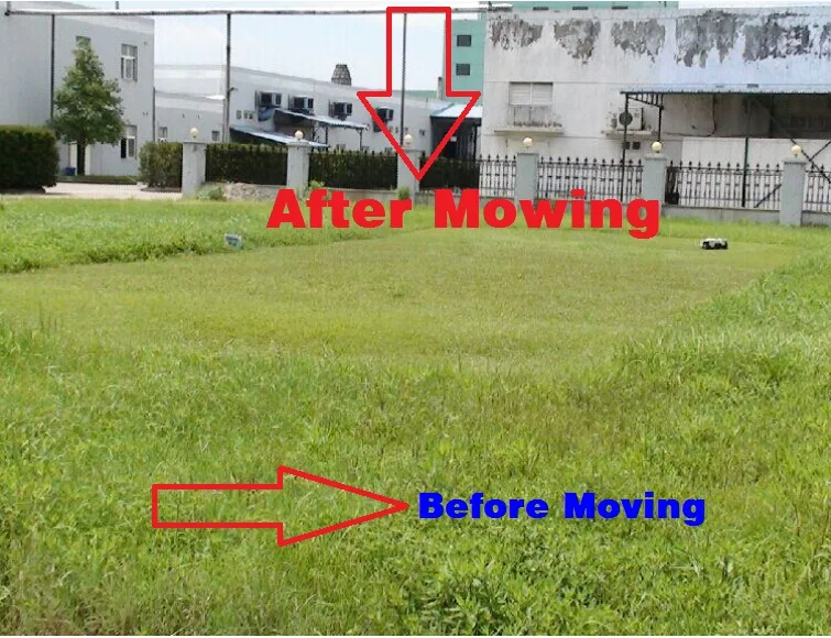 before and after.jpg_.webp