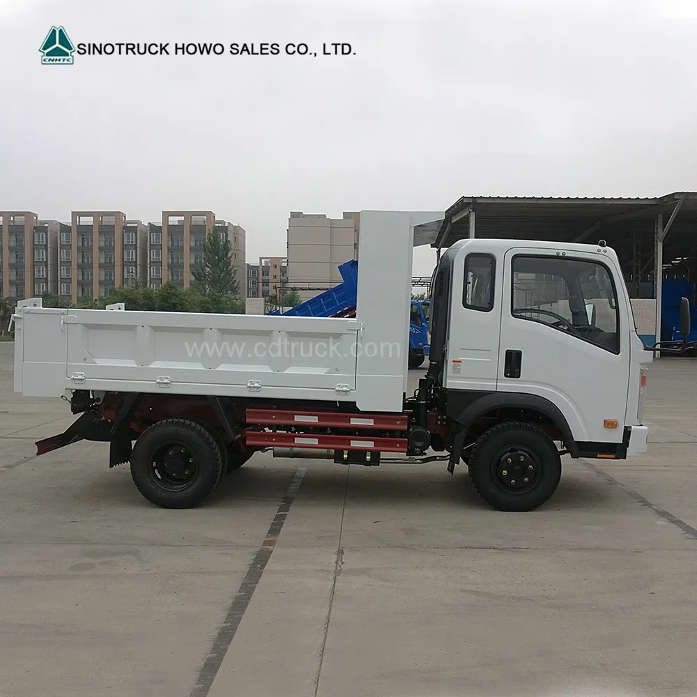 CDW light dump truck 06