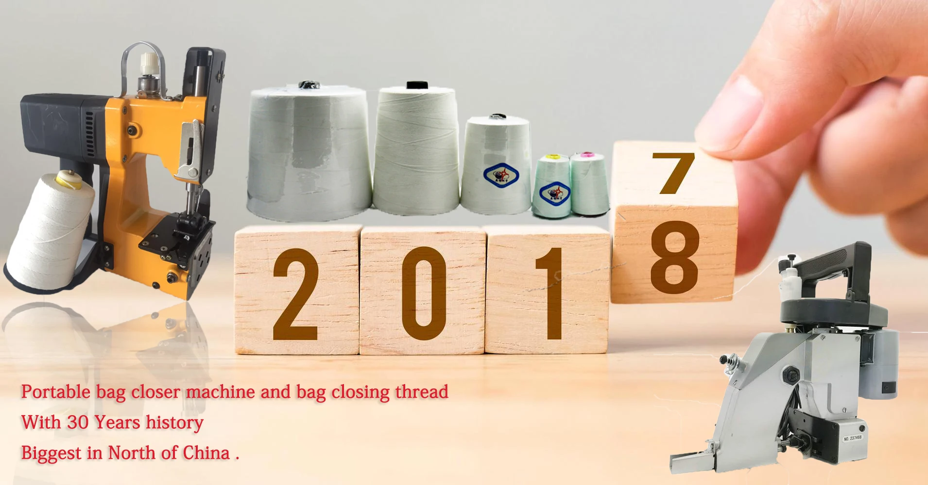 Reliable Factory Portable Bag Sewing Machine Gk9370 Quality Same As