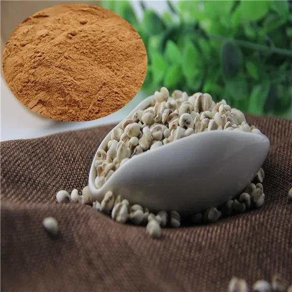 semen coicis extarct.jpg