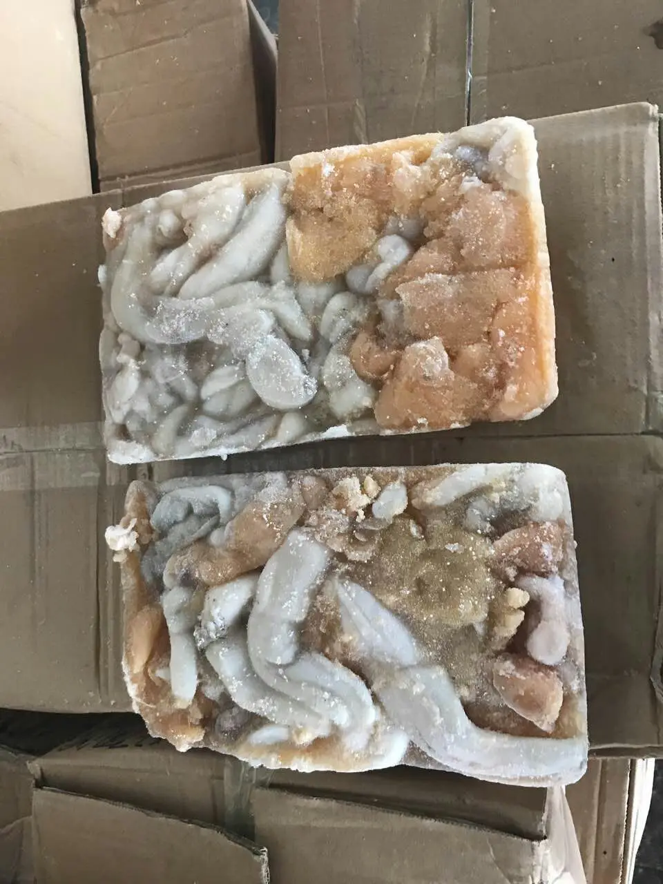 giant squid roe (1).jpg