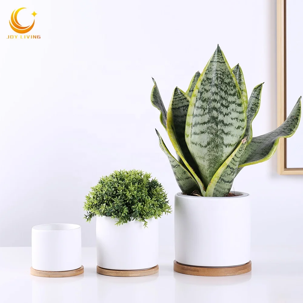 matt white plant pot