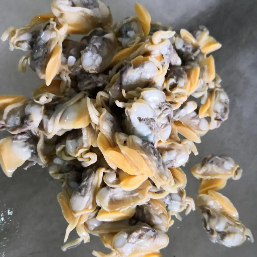 
Good Sale Frozen Cooked Oil Clams Meat Indonesia Seafood 