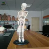 BIX-A1003 super september sell 42cm human mini Anatomy Skeleton