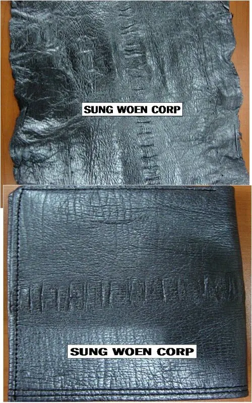 Гигантский кожи угря кошелек