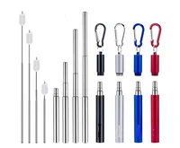 

Amazon Hot Sale Reusable Metal Drinking Folding Straw Collapsible Straw with Carabiner