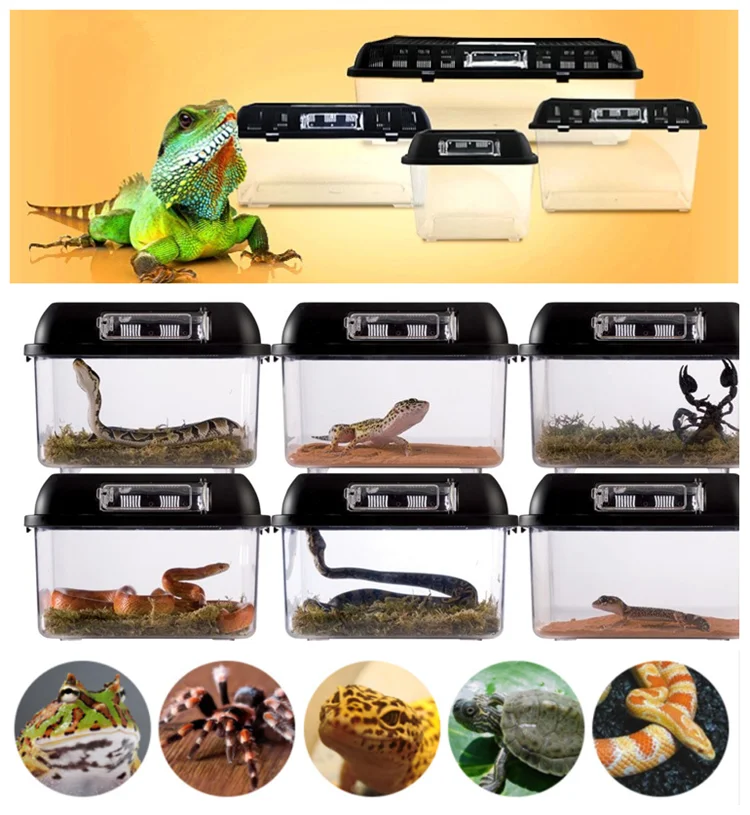 Wholesale Pvc Reptile Terrarium Buy Reptile Terrarium,Pvc Reptile Terrarium,Wholesale Reptile