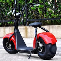 

fat tire 800w scooter electric scooter