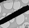Zinc oxide/nickel, zinc oxide/cobalt (ZnO/Ni, ZnO/Co) core-shell composite arrays