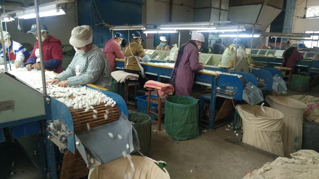 silk factory (17)_.jpg