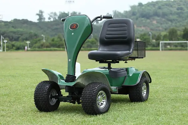 1 person golf buggy