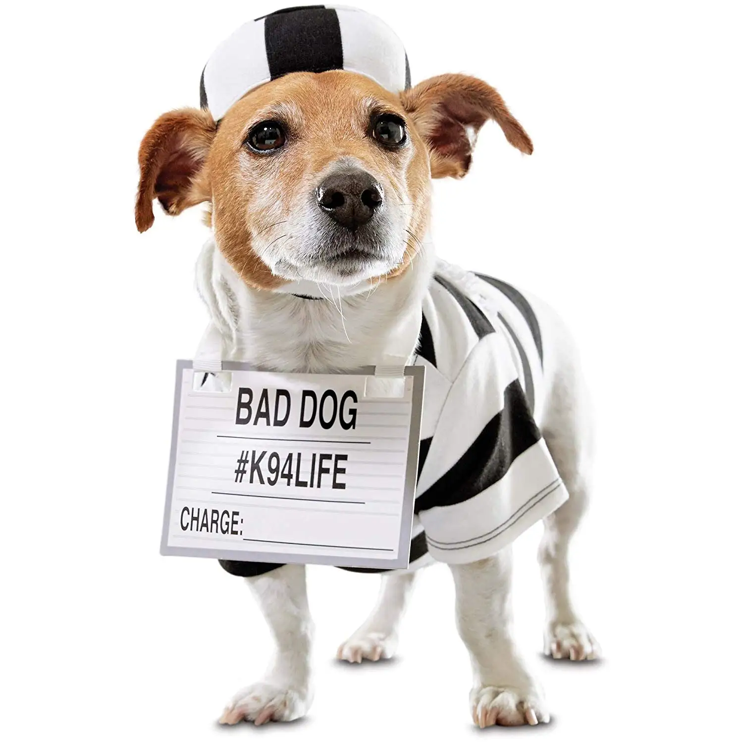 jail dog costume