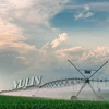 China top wheat field moveable sprinkler center pivot irrigation system solution
