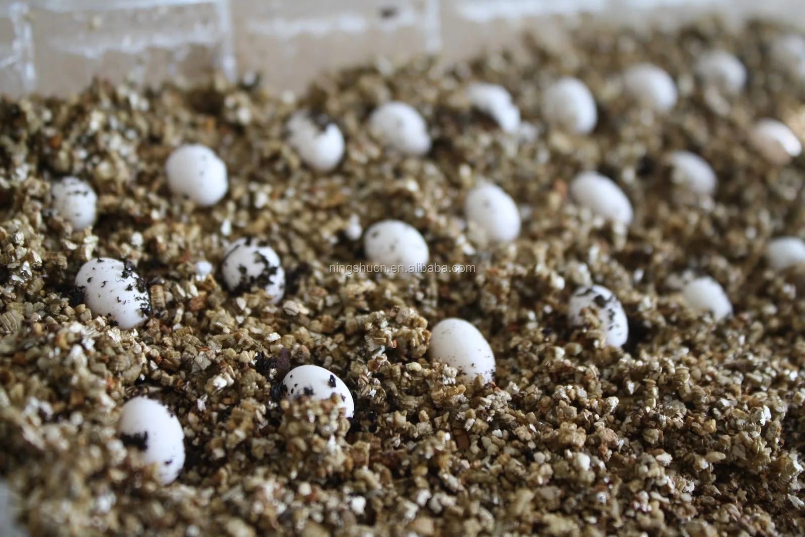 4-8mm Expanded Vermiculite For Animal Feeds And Egg ...