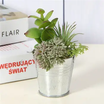 New Product Diffe Types Mini Tinplate Pot Potted Plants For New Product Diffe Types Mini Tinplate Pot Potted Plants For Living Room
