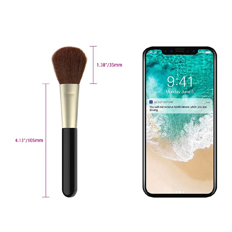 beauty brush.jpg
