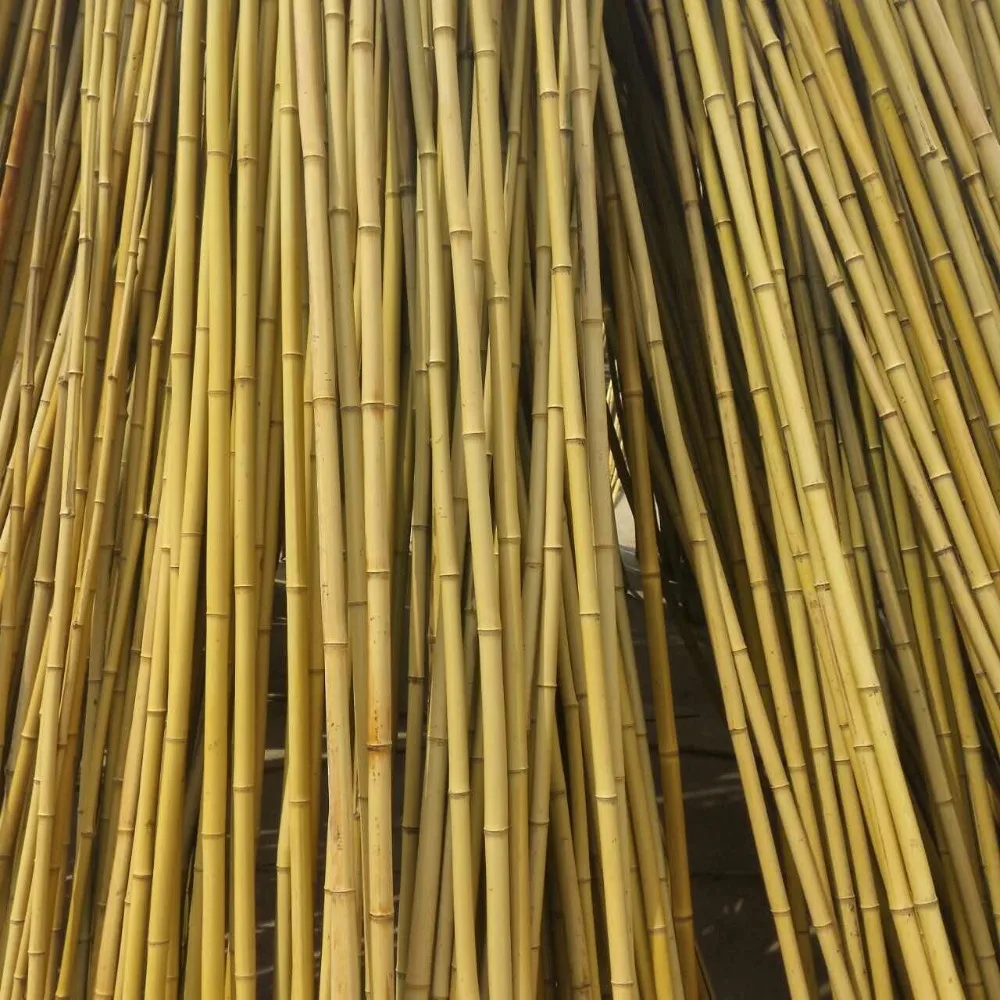 Good Quality Raw Bamboo Poles Buy Bamboo Poles For Sale