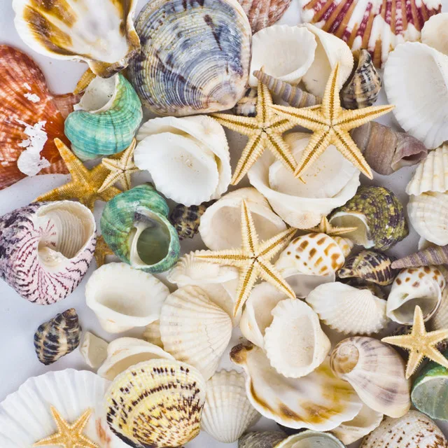 Download Decoracoes do casamento tema diy praia Free Decoracoes Do Casamento Tema Diy Praia