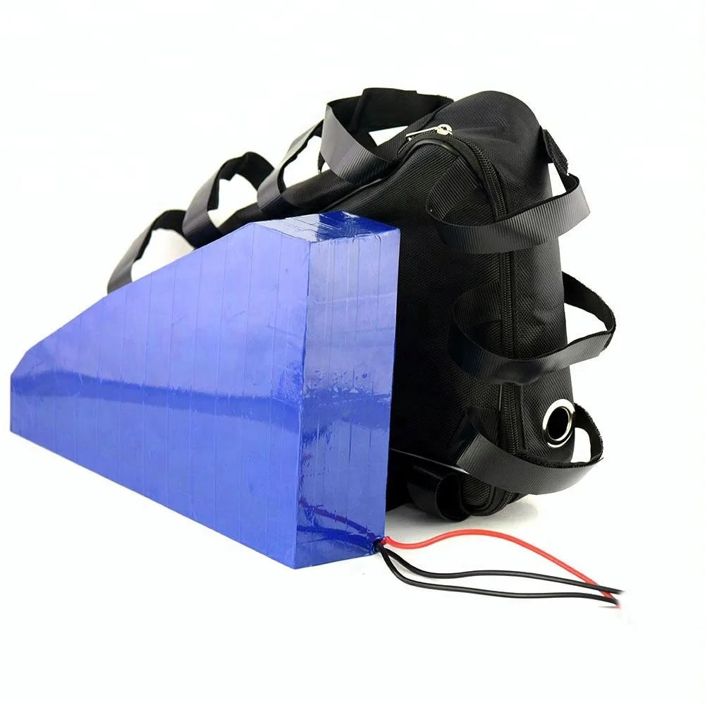

Standard 1000W 48V Electric Bike Lithium Battery Triangle 48V 20Ah Ebike Battery