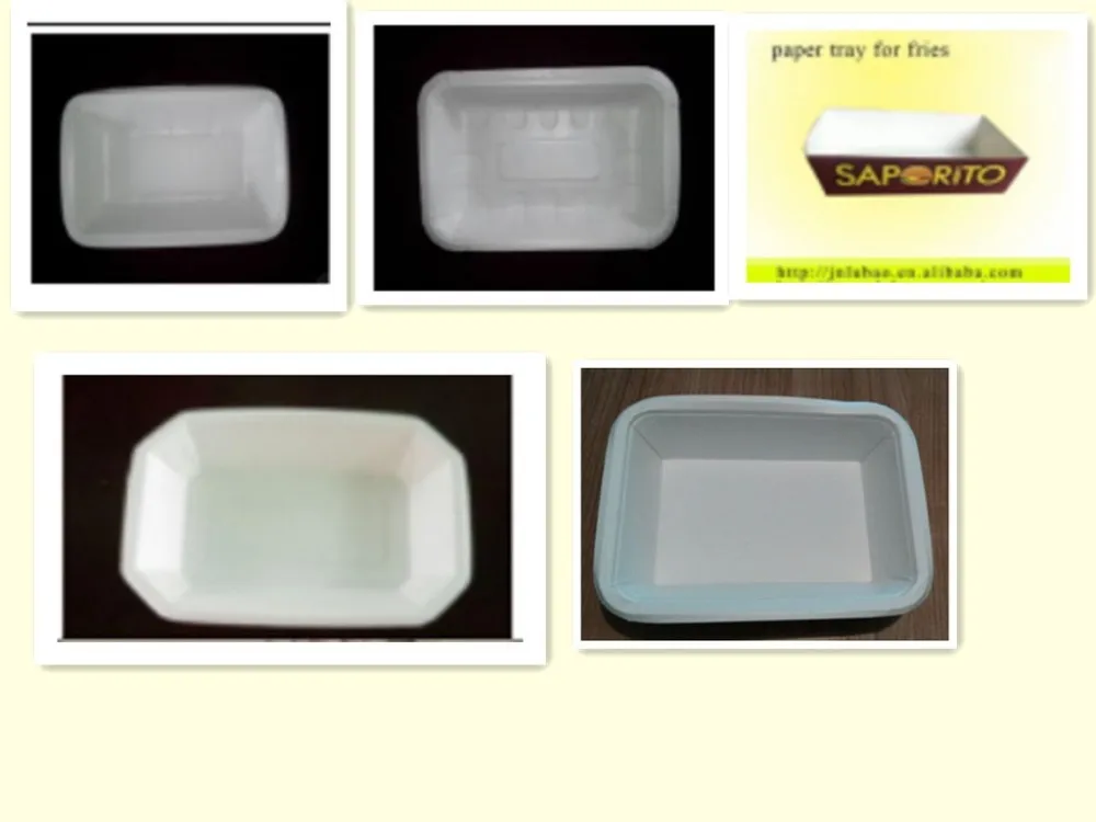 paper food tray 1
