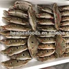 hot sale seafood frozen blue swimming crab