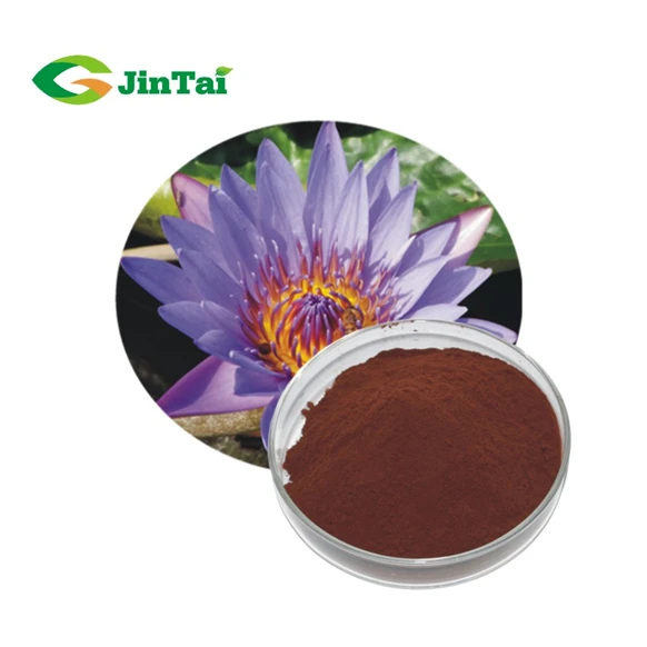 Blue Lotus Flower Extract Nymphaea Caerulea Buy Nymphaea Caerulea Blue Lotus Flower Extract Blue Lotus Flower Extract Powder Product On Alibaba Com