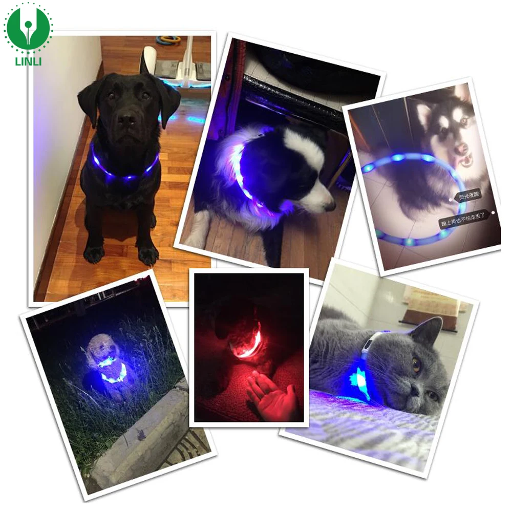 Led Dog Collar