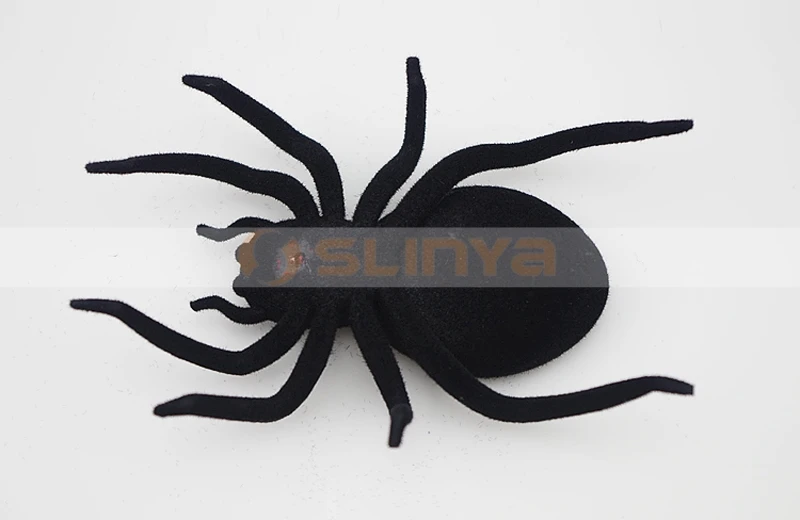 Solar spiders 8032 150108 (8).jpg