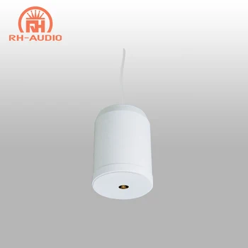 Rh Audio 100v Pa System Hanging Speaker Rh Cl08 Buy Pendant Speaker Column Pendant Speakers Pa Speaker Product On Alibaba Com