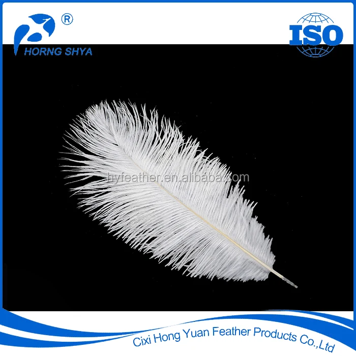 20Pcs Turkey Marabou Feathers Fluffy Plume Crafts Fake Handicraft  Decorations