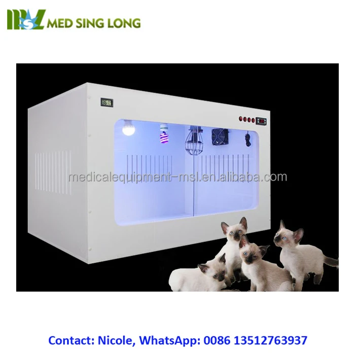 dog equipment for sale