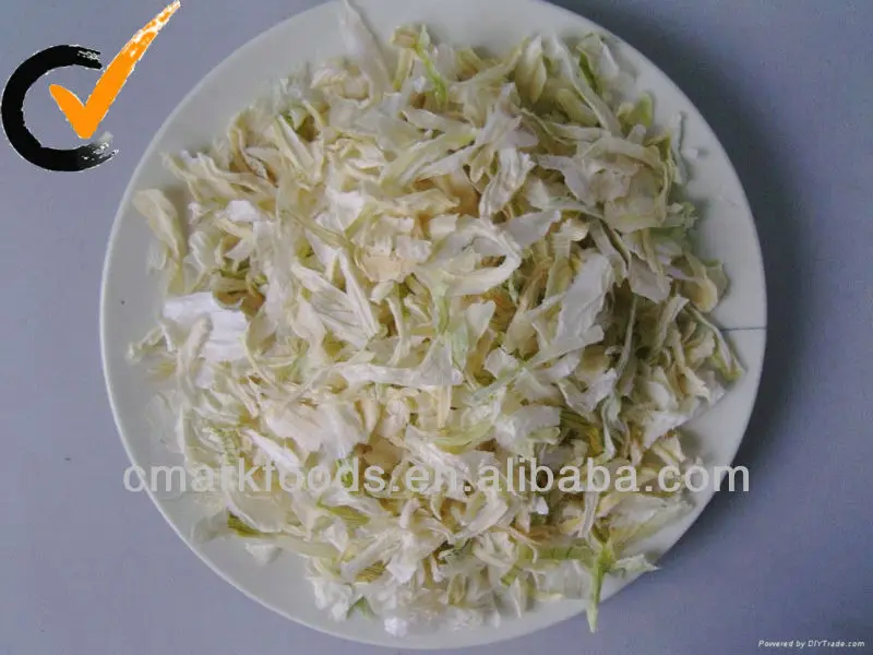 dehydrated_onion_slice.jpg