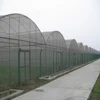 meorden face commercial industrial multi span greenhouse with shading system