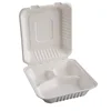 China certificate paper pulp biodegradable take away food box