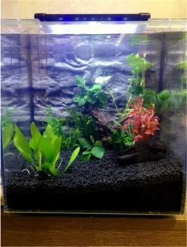 fish tank soil
