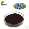 Organic vaccinium myrtillus fruit extract Anthocyanidins juice powder bilberry 10:1