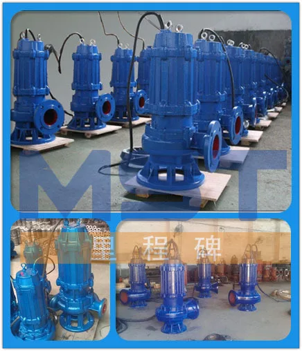 SUBMERSIBLE SEWAGE PUMP PIC