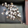 Top Selling Product Dry Cotton Flower With Artificial Stem Wholesale From China