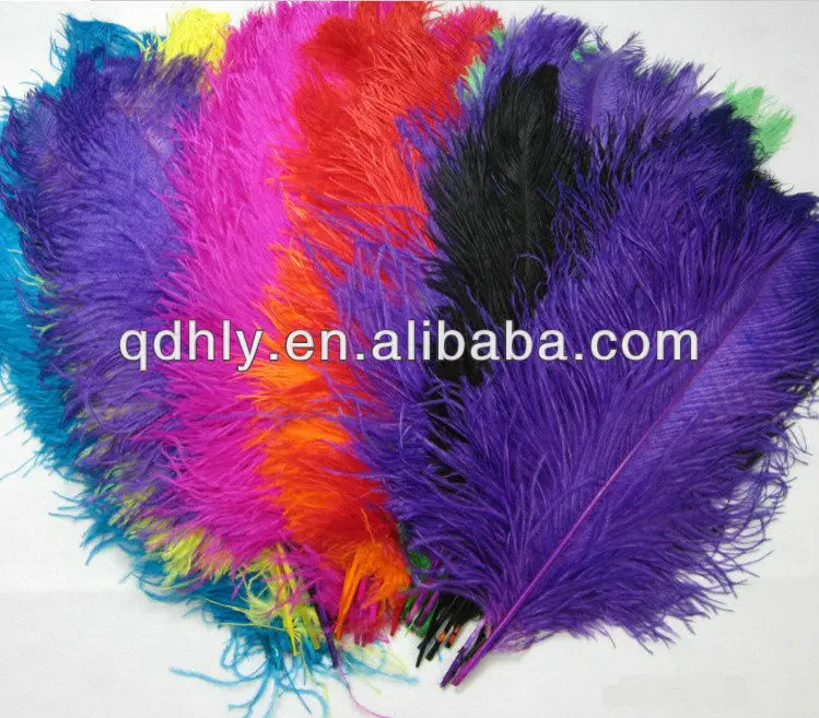 cheap colored ostrich feathers