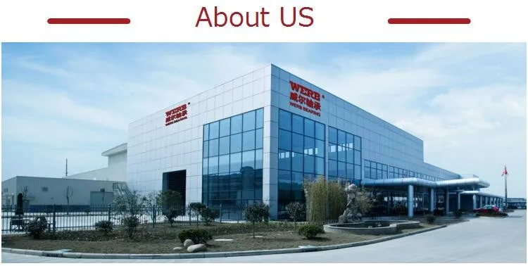 China high presision SP40 SP50 SP60 ball roller bearing shaft assembly for industry