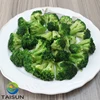 Hot-Selling Organic Frozen Green Broccoli with New Crop High Quality