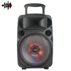 new design BT and wireless 12 inch portable trolley speaker