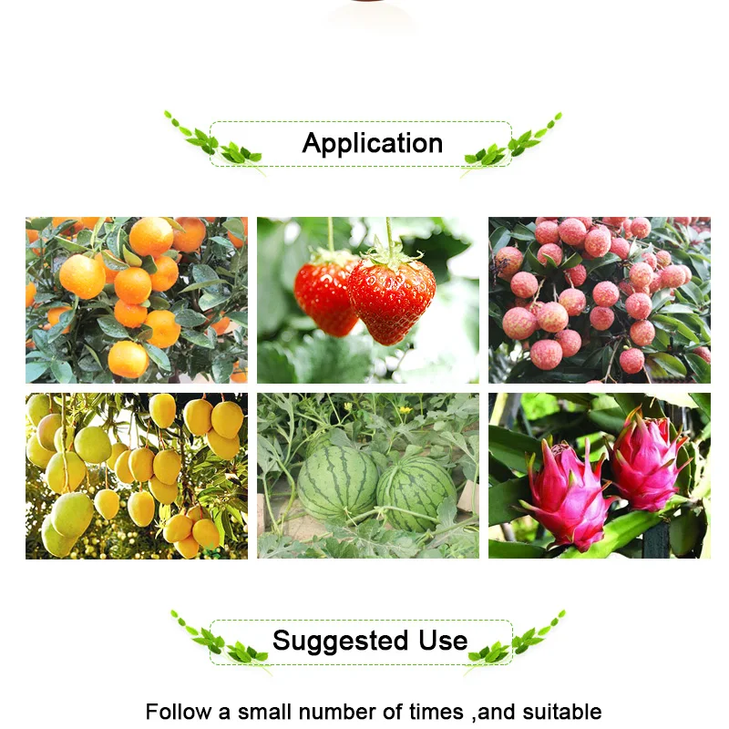 FO202-Detail-171118_04