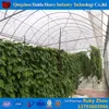 100x50mm hydroponics gutter / NFT gullies / NFT channel