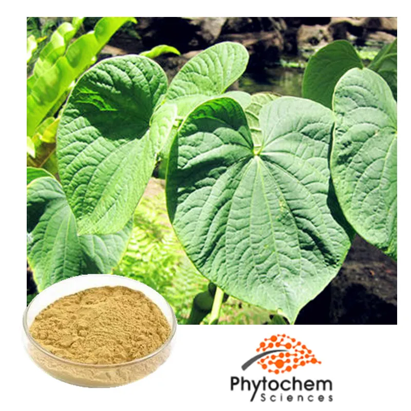 Wholesale Kava Extract From Kava Root For Pharmaceutical Raw Material
