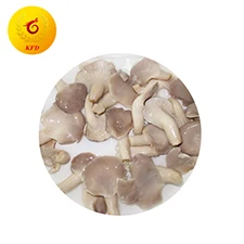 oyster mushroom 01.jpg