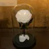 best selling products item type christmas decoration preserved roses dome