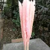 Korea style dried reed dried flower for flower girl dress